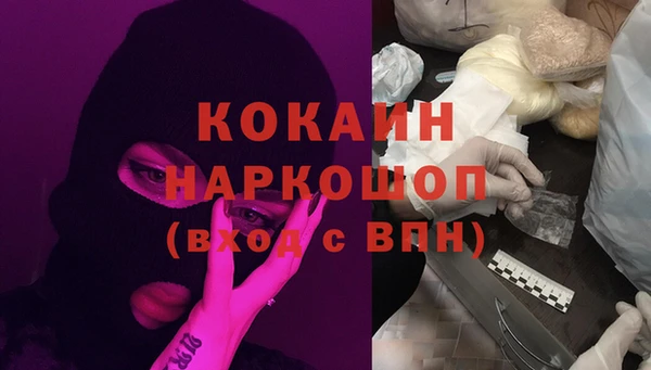 сатива Бородино