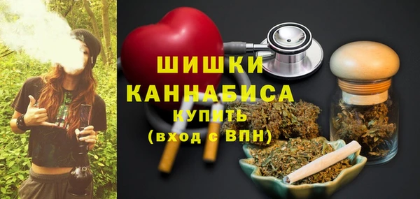 спиды Ельня