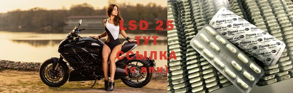шишки Богданович