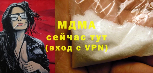 сатива Бородино