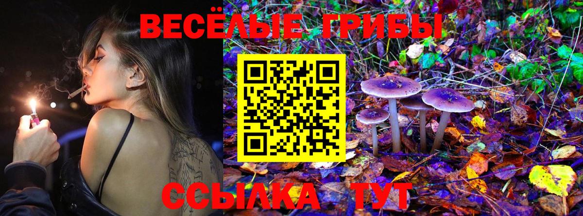 купить   Вход с VPN  Джанкой  Галлюциногенные грибы ЛСД  Галлюциногенные грибы ЛСД 